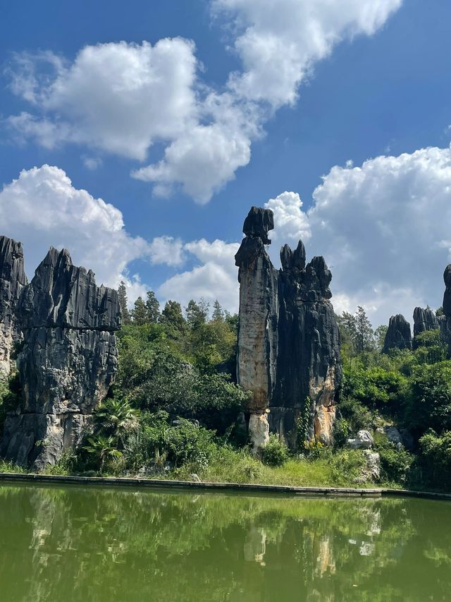 昆明·石林景區｜存世千萬年，只為一眼驚豔