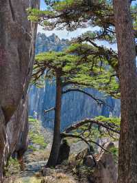 登黃山則天下無山