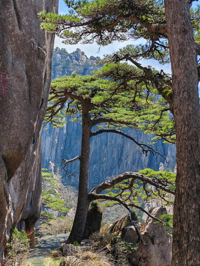 登黃山則天下無山