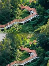 漁村裡的隱世公園—深圳煙墩山公園