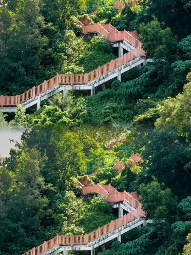 漁村裡的隱世公園—深圳煙墩山公園