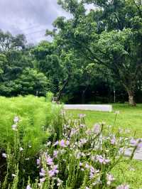 筆架山公園