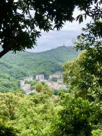 銀湖山郊野公園