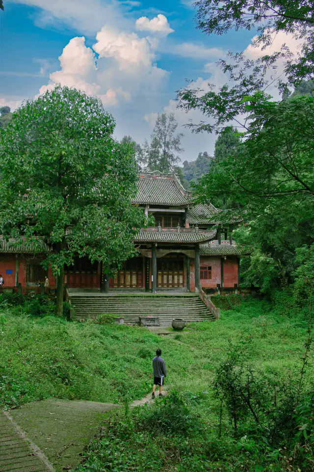 Sichuan's Taoist immortal mountain with millennium ginkgo trees remains largely undeveloped