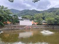 浙江寧波天童寺｜山間走禪，見性見佛