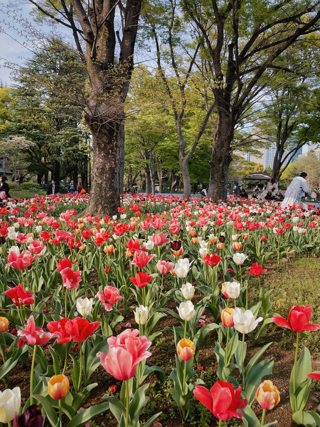 東京行｜城市中心的心願公園，打卡日比谷公園！