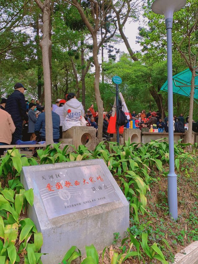 就在天河公園淺淺散個步吧