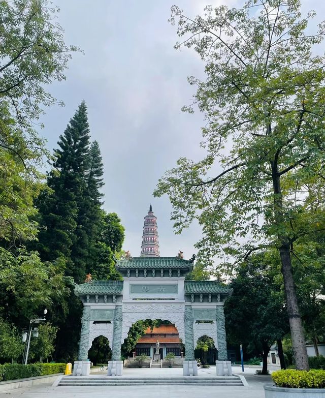 順峰山公園美景