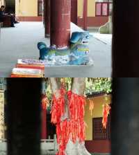 成都寺廟|去寺廟裡過春天
