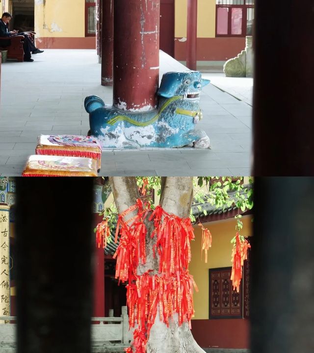 成都寺廟|去寺廟裡過春天