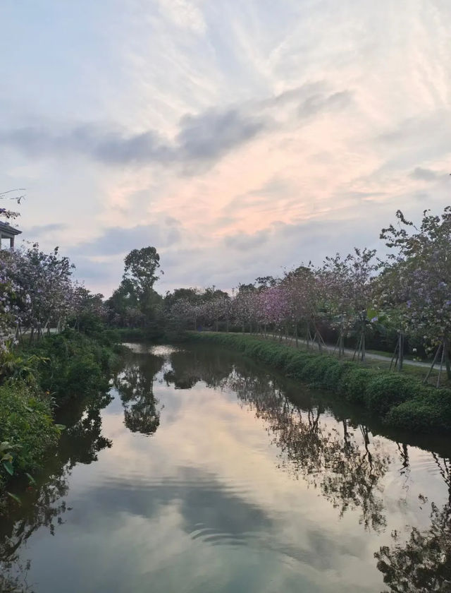 珠海接霞莊：200年歷史的嶺南水鄉！