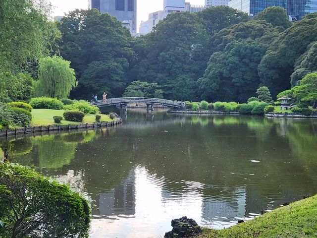 新宿御苑滿眼綠色，極其舒適！