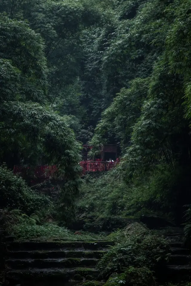 Take a good break for yourself and enjoy the tranquility of the Bamboo Sea in Western Sichuan