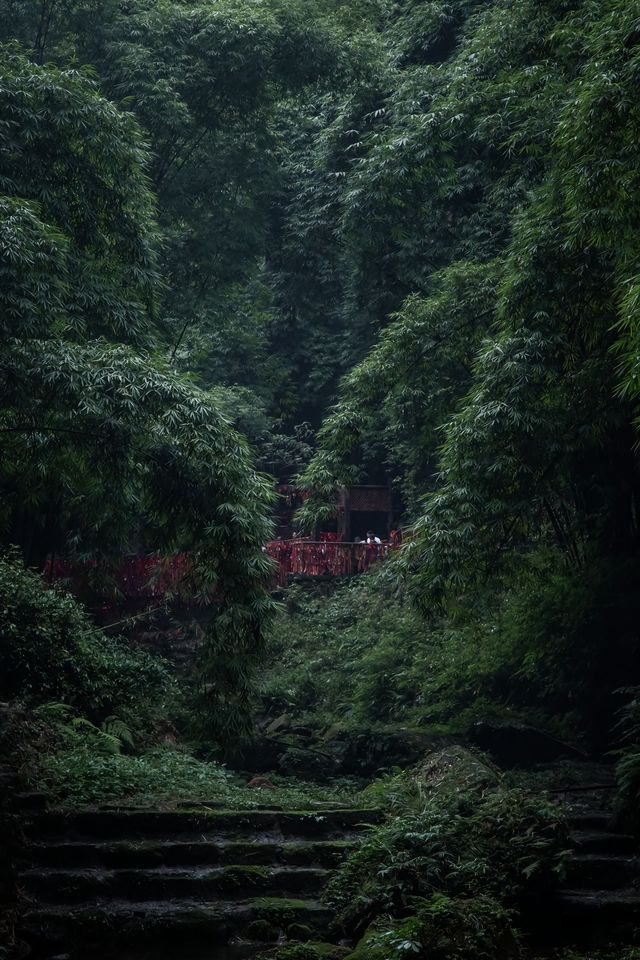 好好的給自己放個假，享受川西竹海的寧靜