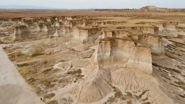 Datong, Shanxi, random shots of the earth forest