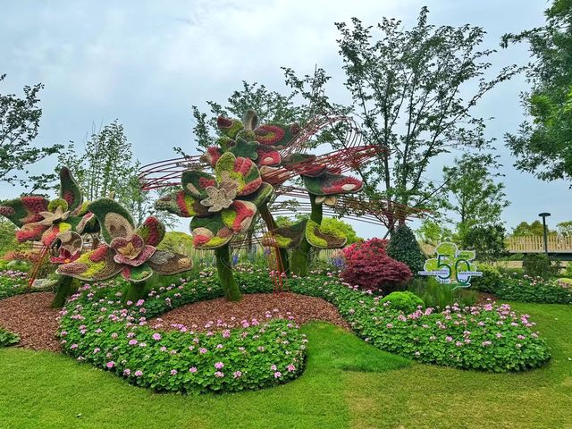 上海植物園你玩的可真花