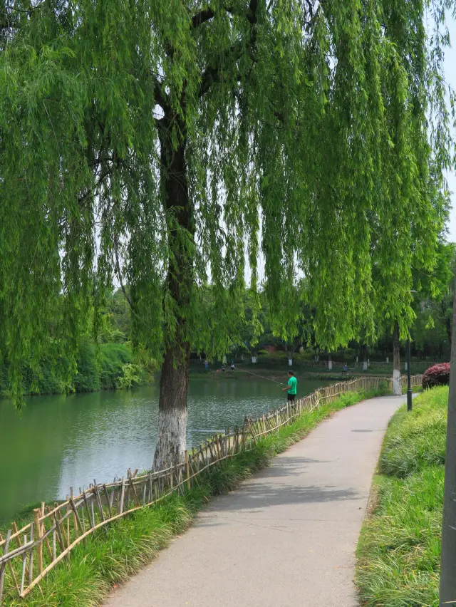 Chengdu! A place suitable for strolling alone