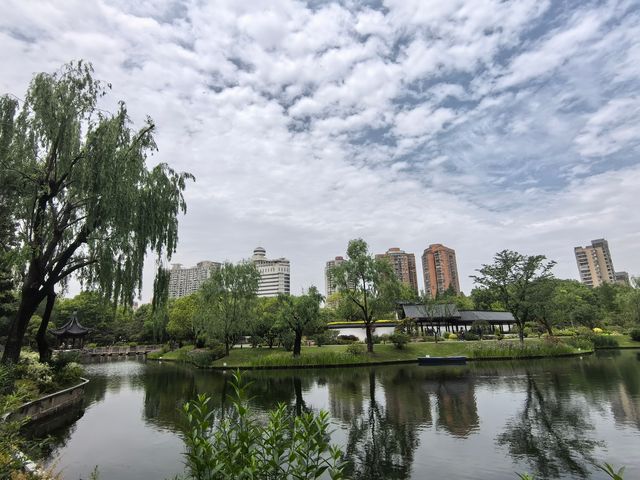 城市公園圖鑑|和平公園