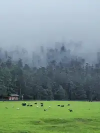 夏日去麗江，小瑞士般的旅行地可不能錯過。