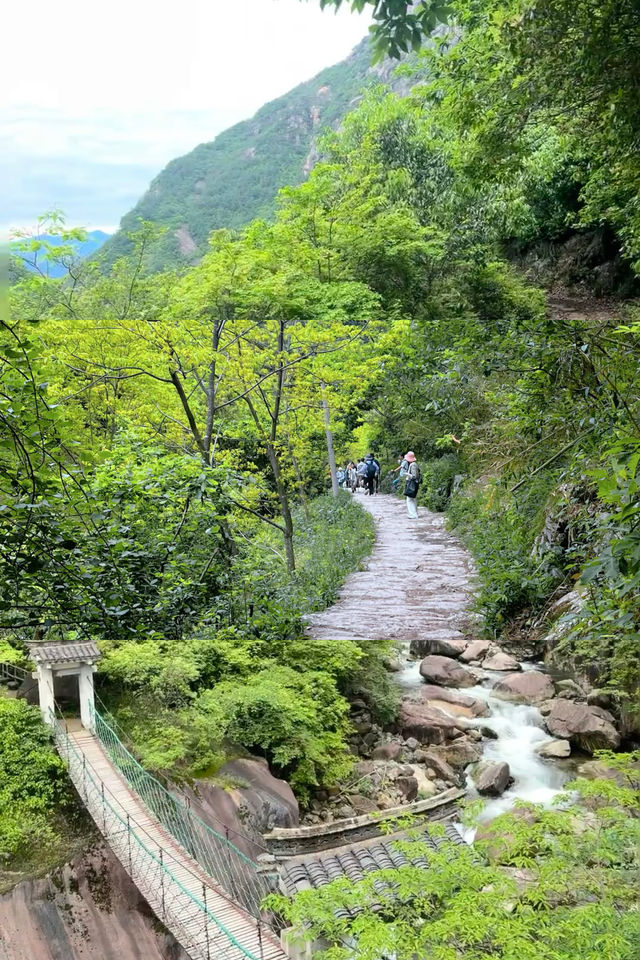 杭州夏日徒步推薦-徽杭古道