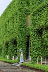 發現廣州新的拍照地長滿藤蔓的漫畫小屋~