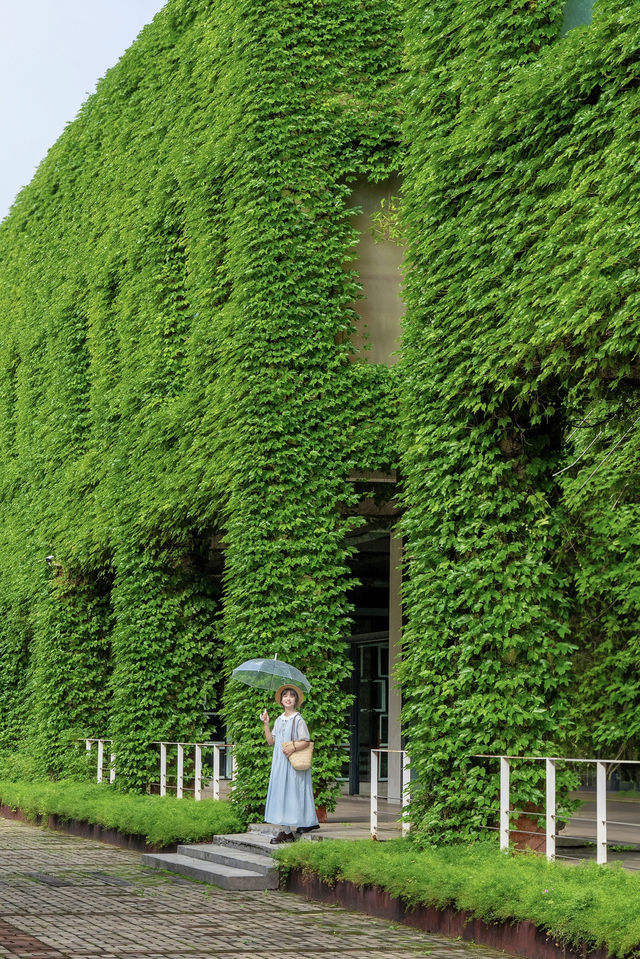 發現廣州新的拍照地長滿藤蔓的漫畫小屋~