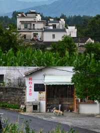 安徽碧山村 遠離城市喧囂的小眾文藝村落