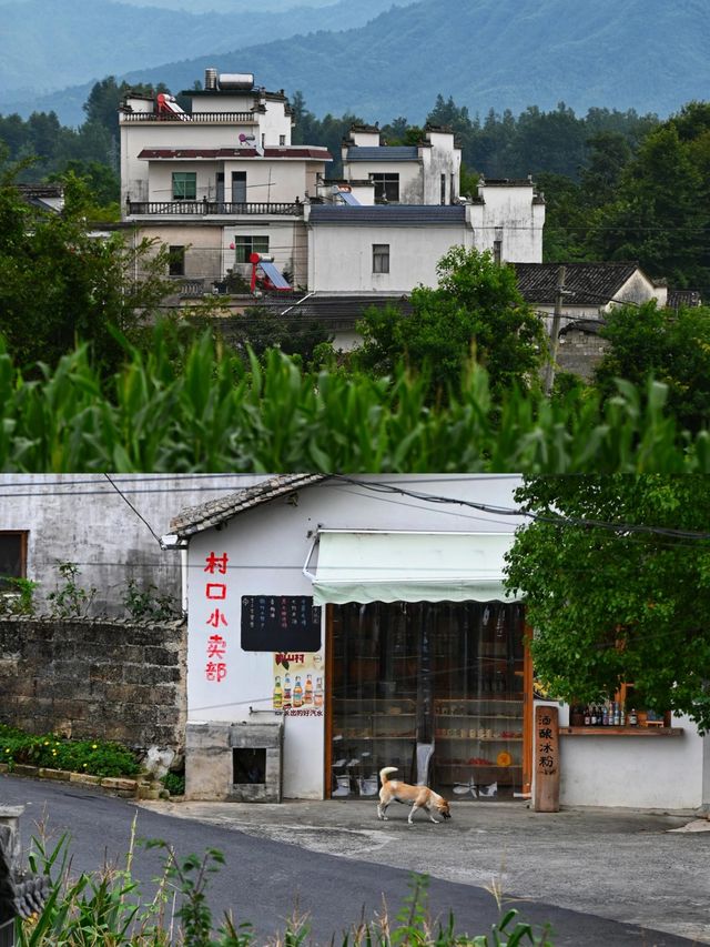 安徽碧山村 遠離城市喧囂的小眾文藝村落