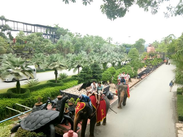 來芭提雅必去的美麗樂園。