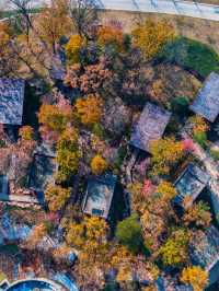 🌲🛌 Nanjing's Nature Retreat: Top Hotel Escapes 🏞️🍃
