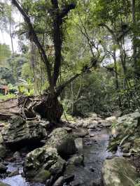 原來海南也有避暑陰涼的地方！！在百花嶺