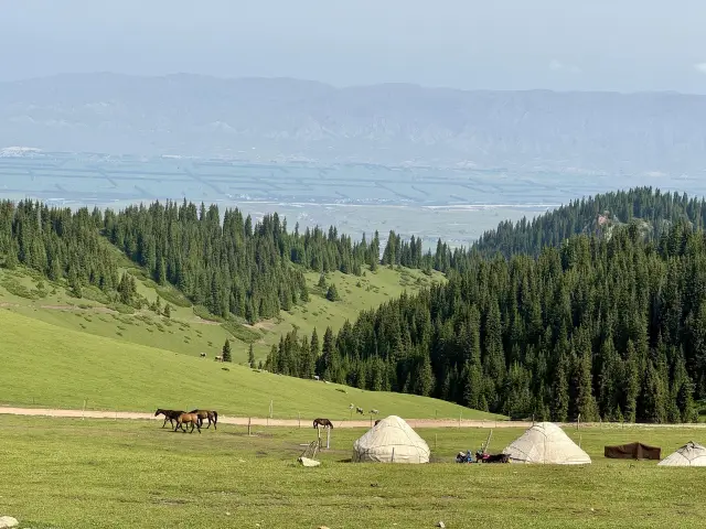 신강 이리 세커운단 초원|구름 위에서 초원과 함께한다