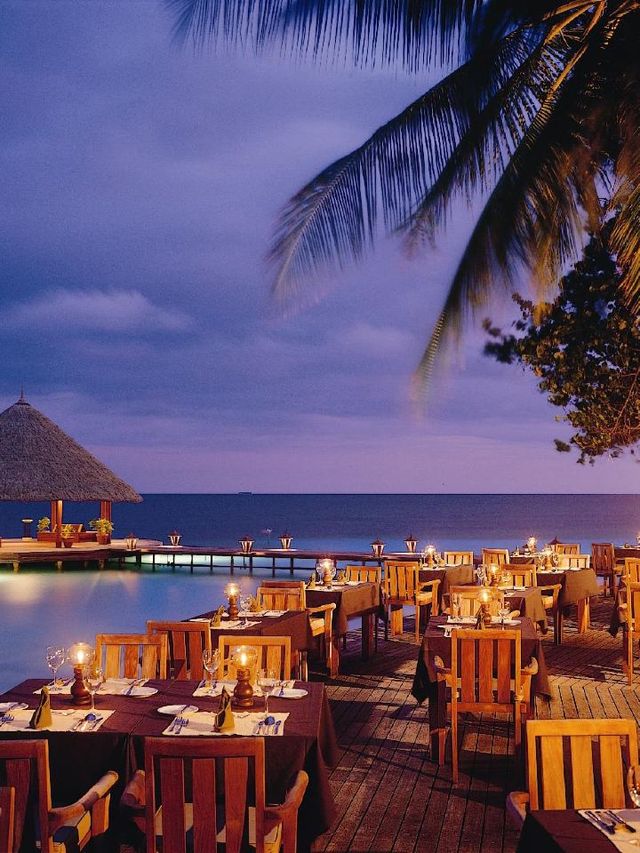 🏝️ Maldives Magic: Top Picks at Dhawa Ihuru 🌟