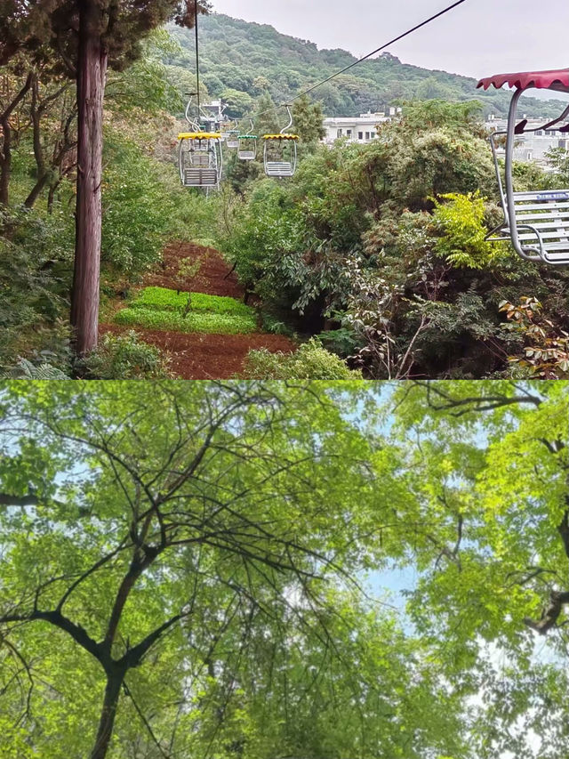 阿廬古洞！雲南第一洞