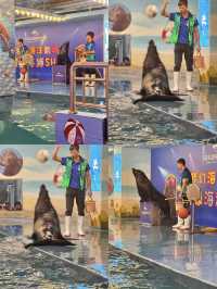 在東莞…兩位數門票看海底世界拍照巨出片