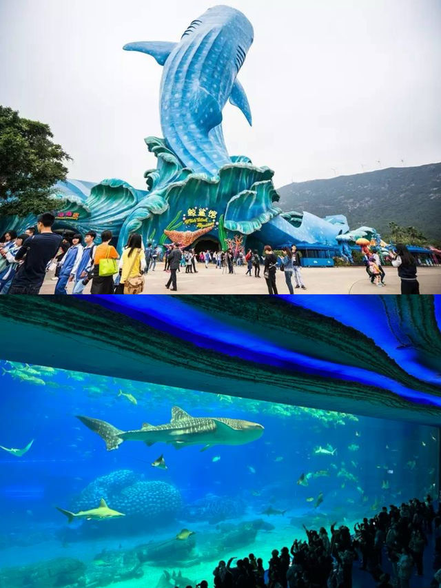 珠海一日遊，這樣玩轉珠海新地標！