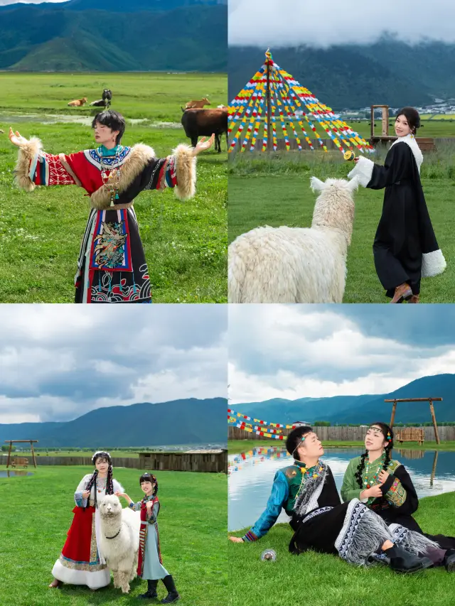 나파하이 - 입장권, 운영 시간, 후기 & 사진 [2024년] | Trip.com