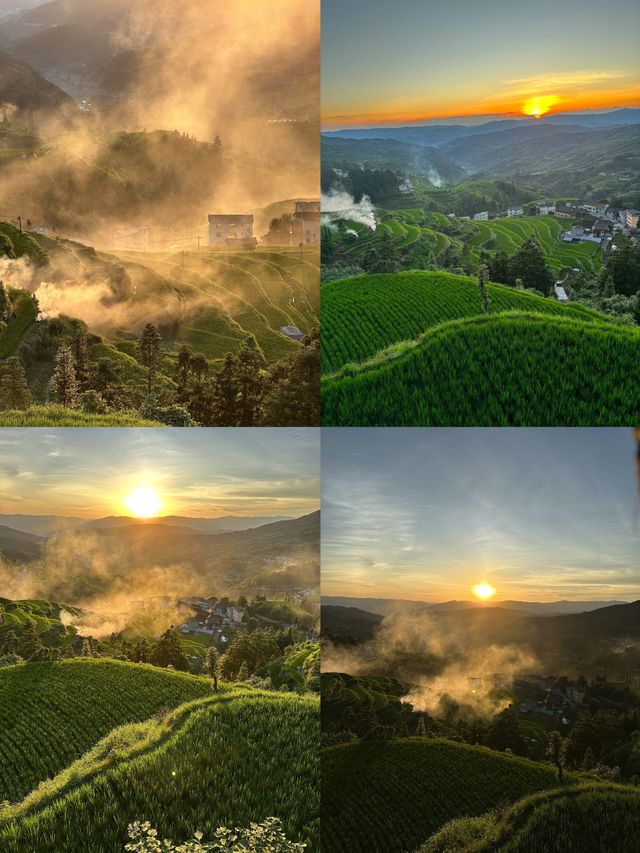 侗族生態博物館-堂安侗寨梯田
