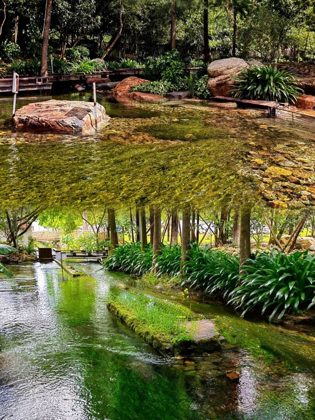 冷泉灘丨玩水好去處，平均溫度21度