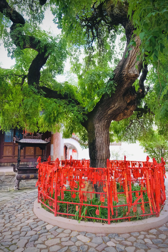 如果說古樹是南郭寺的根，那杜詩就是南郭寺的魂。
