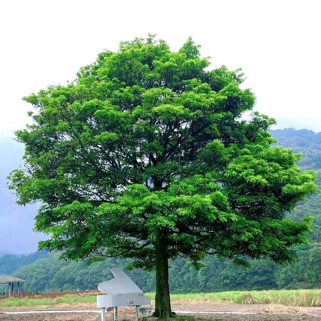 獅頭山，週末假期爬山好去處