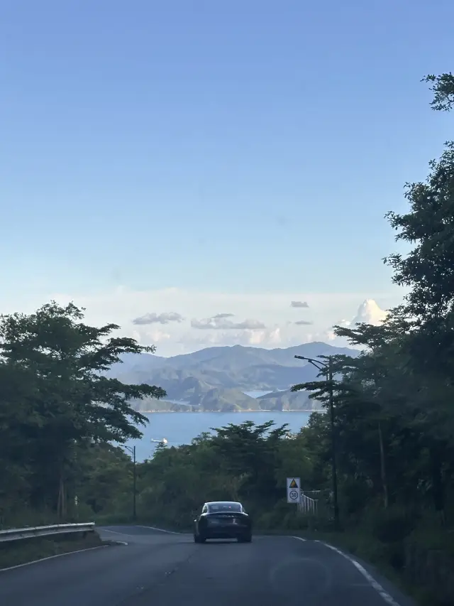 深圳小火車之旅🚂