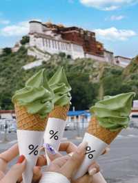 朋友圈問瘋了！拉薩個布達拉宮同框機位！