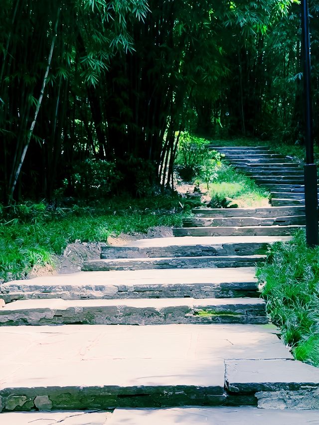 仰天窝是欣賞自然景色和呼吸清新空氣的絕佳去處。