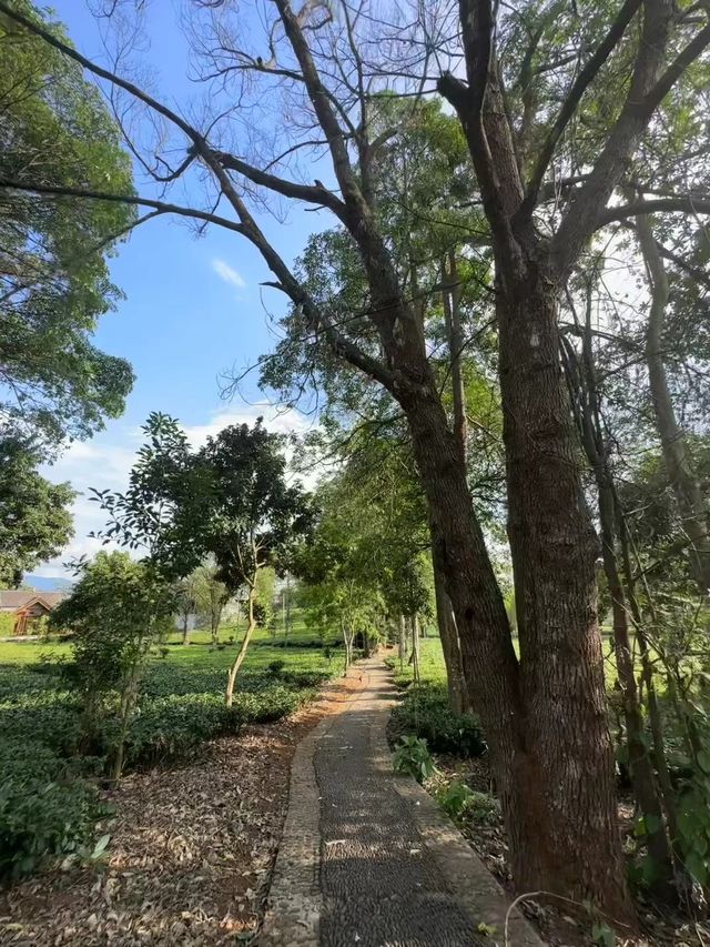 雲端上的酒店｜景邁柏聯。