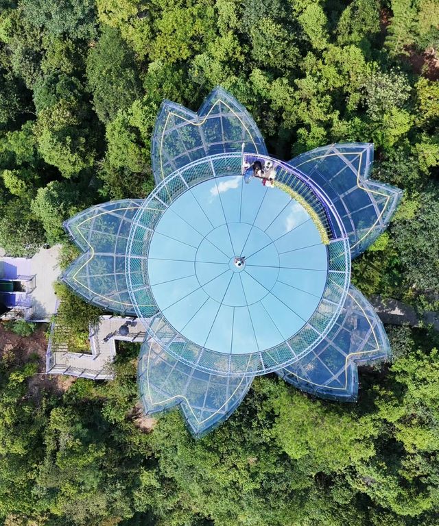 桐廬天子地夢幻樂園。