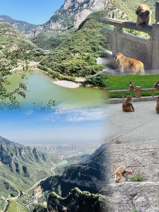 五龍口：自然與靈猴共舞的奇妙之地。