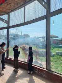 蘭州動物園，宛如一座隱藏在城市中的自然寶藏。