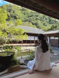 九州｜Day2鹿兒島。