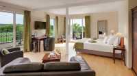 Hotel Villa Medici，德國美麗的別墅酒店梅迪奇別墅。